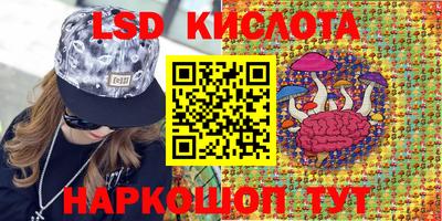 тгк Краснодар